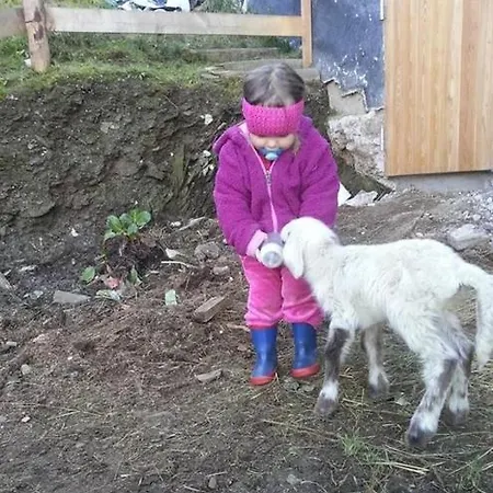 Alpesi faház Leo