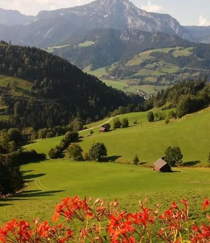 Leo 木屋 Michaelerberg